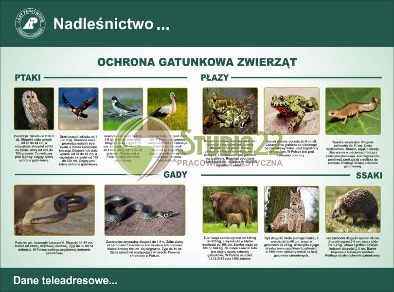 Ochrona gatunkowa zwierząt