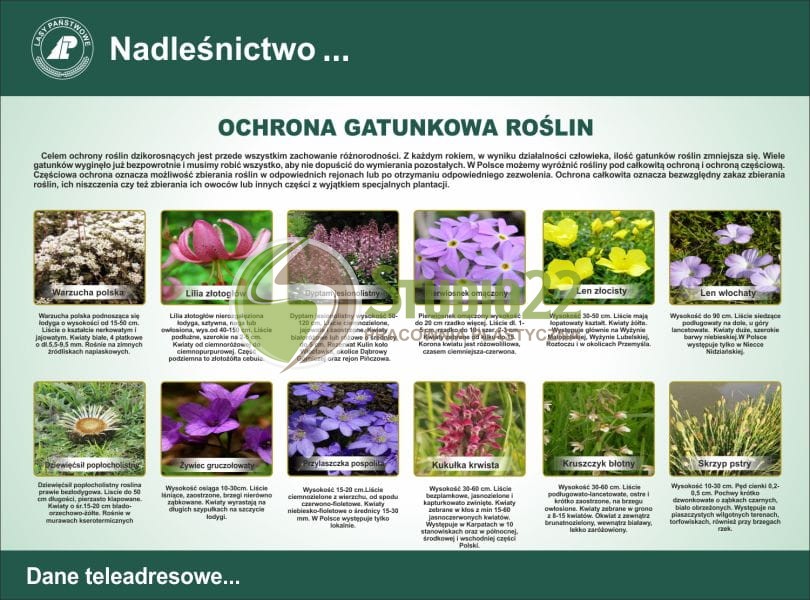 Ochrona gatunkowa roślin