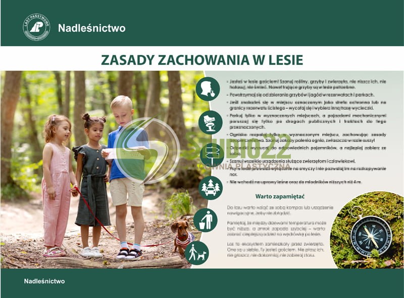 Zasady zachowania w lesie