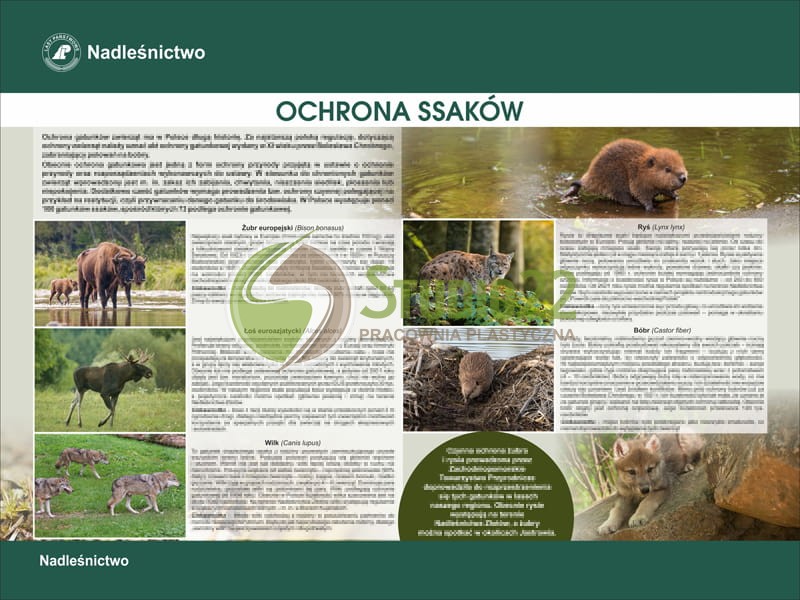 Ochrona ssaków