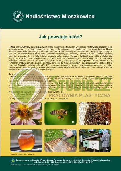 Jak powstaje miód